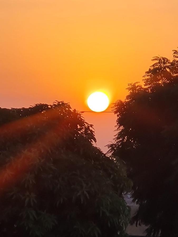 Maison D Hote La Dore Du Senegal Bas-De - Villa โซโมน ภายนอก รูปภาพ